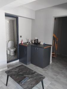 uma cozinha com um lavatório e um WC num quarto em ZEMAHOTEL em Büyükçekmece