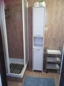 un piccolo bagno con doccia e specchio di Seline, Apartman Pavić a Seline