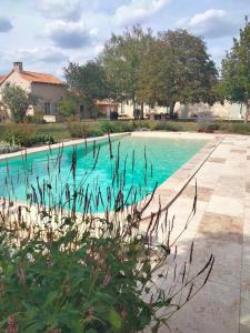 a swimming pool with blue water in a yard at Les Chambres de Moulière 