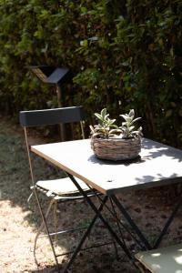 a picnic table with a basket and a chair at La Casa di Mila in Fermo