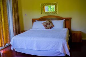 Letto o letti in una camera di Blue Paloma Bed & Breakfast