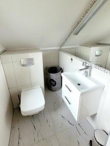 a bathroom with a white toilet and a sink at Cisza i Spokój in Szczawnica