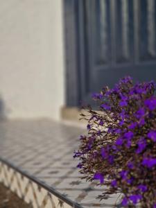 a bouquet of purple flowers in front of a door at The.deerparkcottage in Lurgan