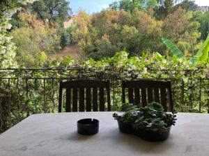 una mesa con dos sillas y una planta en ella en Charmant appartement en rez de villa à Vence, en Vence