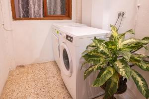 a washing machine in a bathroom with a plant at Piso cerca del mar en Alcalá in Alcalá