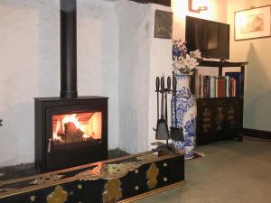 a fireplace in a living room with a stove at Robsons Cottage in Alston