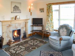 a living room with a fireplace and a chair and a television at Lower Brae in Achnahanat