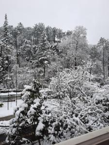 a garden covered in snow with trees in the background at Hotel Good Luck in Kutaisi