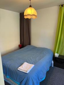 - une chambre avec un lit bleu et un lustre dans l'établissement 0 rdc Appartement centre flers proche commerces et gare, à Flers