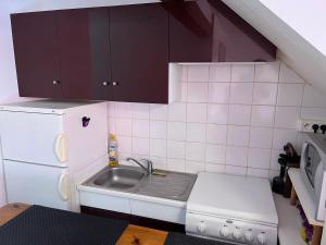 uma pequena cozinha com um lavatório e um frigorífico em 0 rdc Appartement centre flers proche commerces et gare em Flers