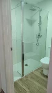 a glass shower in a bathroom with a toilet at Premier Apartments in Valencia