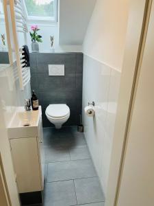 a small bathroom with a toilet and a sink at Ferienwohnung Bürgel Ebersbach Fils in Ebersbach an der Fils