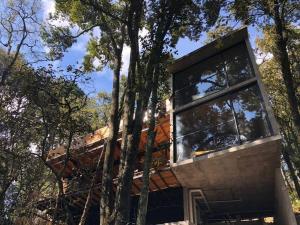 ein Haus im Wald mit großen Fenstern in der Unterkunft Chalet nordico enmedio del bosque in Mineral del Monte