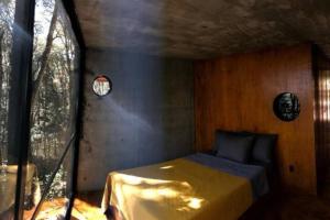 ein Schlafzimmer mit einem Bett in einem Zimmer mit einem Fenster in der Unterkunft Chalet nordico enmedio del bosque in Mineral del Monte