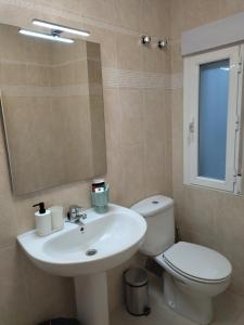 a bathroom with a sink and a toilet and a mirror at Vivienda Vacacional Triste Condesa in Arenas de San Pedro