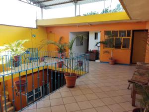 Hostal Zipolite Arteaga في مدينة أواكساكا: مبنى به فناء به نباتات خزفية