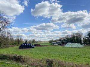 a field with a group of large balls in the grass at Wilne Cottage in Shardlow