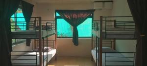 Raihei Auberge de jeunesse Chez l'habitant à Bora Bora 객실 이층 침대
