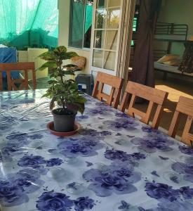 보라 보라에 위치한 Raihei Auberge de jeunesse Chez l'habitant à Bora Bora에서 갤러리에 업로드한 사진