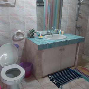 uma casa de banho com um WC e um lavatório em Raihei Auberge de jeunesse Chez l'habitant à Bora Bora em Bora Bora