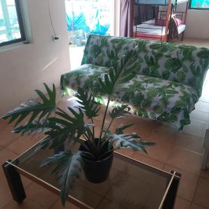 Raihei Auberge de jeunesse Chez l'habitant à Bora Bora 휴식 공간