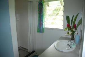 a bathroom with a sink and a window and a vase of flowers at Ginas Garden Lodges, Aitutaki - 4 self contained lodges in a beautiful garden in Arutanga