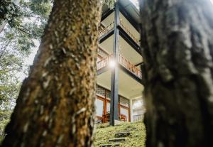 a view of a house through the trees at Inspira ella in Ella