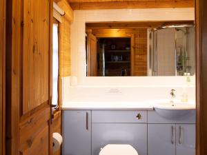 a bathroom with a sink and a toilet and a mirror at Cabin Hideaways, Glengoyne - Uk38363 in Mattishall