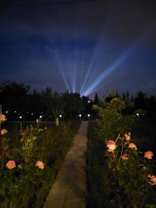 un camino en un parque de noche con flores en JRVEZH H&L- live and work, en Jrvezh
