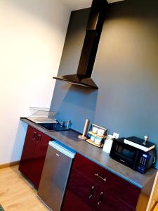 Kuchyňa alebo kuchynka v ubytovaní Apartamenty Zakładowa