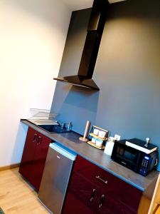 - une cuisine avec un comptoir, un four micro-ondes et un évier dans l'établissement Apartamenty Zakładowa, à Paczków