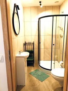 La salle de bains est pourvue d'une douche, d'un lavabo et de toilettes. dans l'établissement Apartamenty Zakładowa, à Paczków
