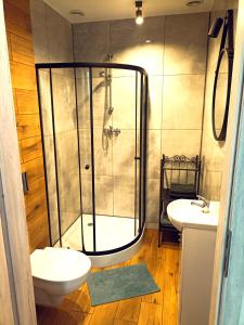 La salle de bains est pourvue d'une douche, de toilettes et d'un lavabo. dans l'établissement Apartamenty Zakładowa, à Paczków