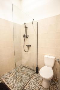 ein Badezimmer mit Dusche und Toilette in der Unterkunft On the Castle Hill, near Chain Bridge in Budapest + 5 Fotos