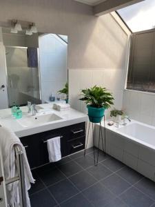 a bathroom with a sink and a tub and a plant at Quiet location ,central to city in Hamilton