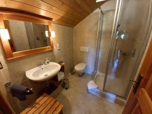 y baño con ducha, lavabo y aseo. en Landhaus Friedl, en Riedlhütte