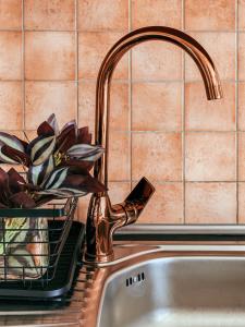 un lavandino da cucina con rubinetto in ottone e pianta di Sali Modern Seaview Apartment a Sali (Sale)