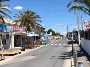 弗隆提尼昂的住宿－La Largatera，棕榈树小镇上一条空的街道