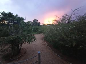uma trilha de terra com árvores e um pôr do sol no fundo em Kele Yala em Yala