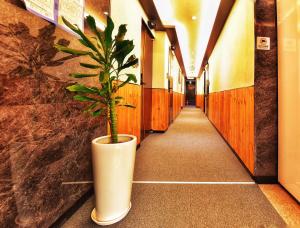 Fotografie z fotogalerie ubytování The Road Hotel v Soulu