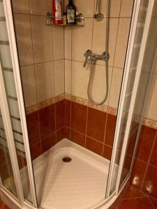 y baño con ducha y puerta de cristal. en Gyöngyvirág Vendégház, en Noszvaj