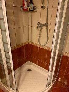 a shower with a glass door in a bathroom at Gyöngyvirág Vendégház in Noszvaj