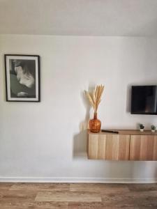 Televízia a/alebo spoločenská miestnosť v ubytovaní La Studieuse - Hyper centre ville