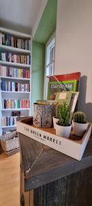 uma caixa de madeira com plantas e livros sobre uma mesa em Rebel House Alba em Alba