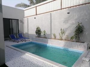 a swimming pool with blue chairs next to a building at شاليه اللويمي in Al Hofuf