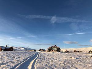 een huis in de sneeuw met een weg ervoor bij Seterhytte i Havsdalen in Geilo