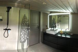 a bathroom with a shower and a sink and a mirror at Seterhytte i Havsdalen in Geilo