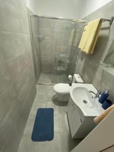 a bathroom with a sink and a toilet and a shower at Apartmani Home in Zaječar