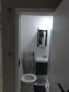 La salle de bains est pourvue de toilettes blanches et d'un lavabo. dans l'établissement Cozzy, à Londres