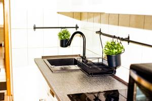 a kitchen sink with two potted plants on it at LIVING SPACE in Herne